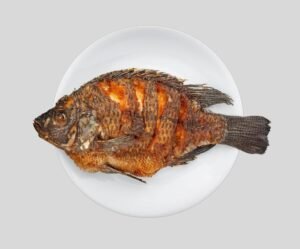 Tilapia