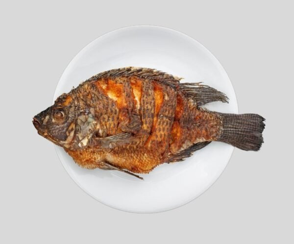 Tilapia